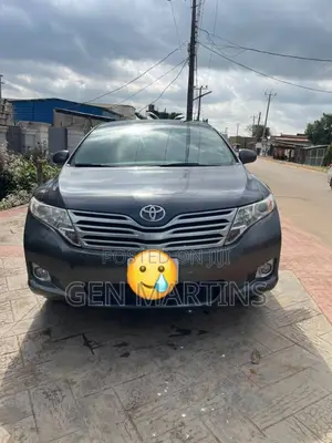Toyota Venza 2010 Gray