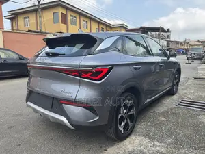 New BYD Yuan Plus 2025 Gray