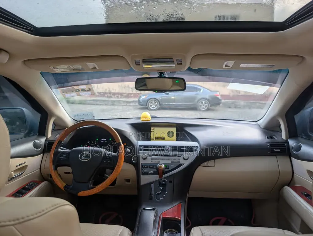Lexus RX 2010 Blue