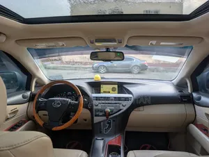 Lexus RX 2010 Blue