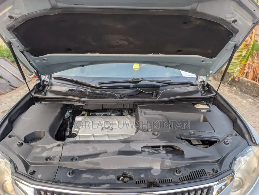 Lexus RX 2010 Blue