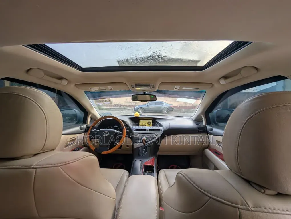Lexus RX 2010 Blue