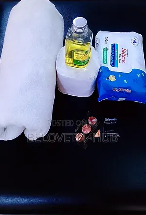 Mobile Massage Services