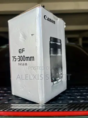 Canon 75-300mm Zoom Lens