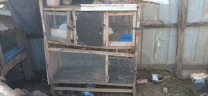 Rabbit/ Chicken Cage