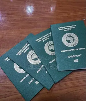 International Passport Processing Assistance-New Renewal and Lost