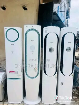 LG Standing AC Inverter