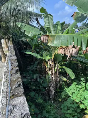 2 Plot of Land