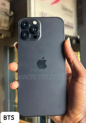 Apple iPhone 12 Pro Max 256 GB Gray