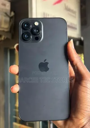 Apple iPhone 12 Pro Max 256 GB Gray
