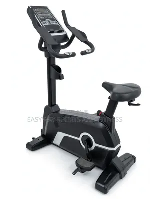 Commercial Magnetic Bike