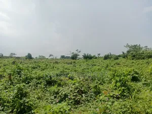 Dry Land for Sale in Ikorodu, Lagos – Affordable Property Investment
