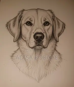 Custom Pet Portrait Drawing From Your Photo - Dog Memorial Gift Abuja