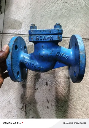 Blue Flanged Lift Check Valve, Likely a KSB BOA-R