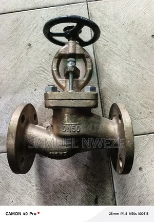 DN50 Bronze Flanged Straight-Pattern Globe Valve