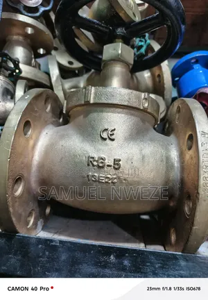 Bronze Flanged Globe Valve 3"