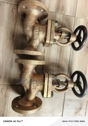 Bronze Marine Flanged Globe Valves Dn 40
