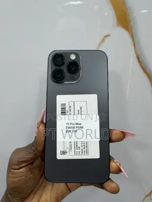Apple iPhone 15 Pro Max 256 GB Gray