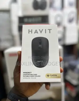 Havit Ms626gt Comfortable and Suitable Hand Feeling Wireless Mouse