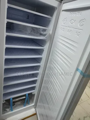 Yohako Solar Upright Freezer Model AC220v-DC24v
