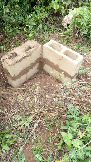 A Standard Plot of Land