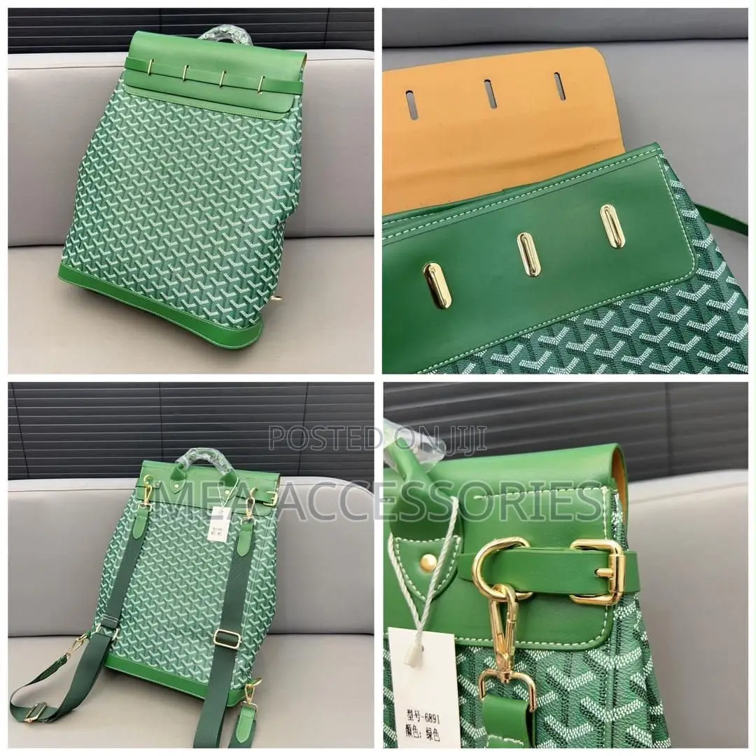 Luxury Goyard Backpack