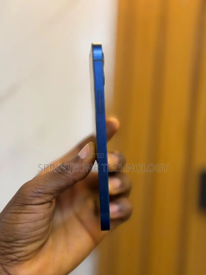 Apple iPhone 12 256 GB Blue