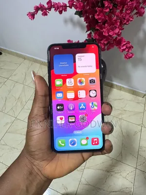 Apple iPhone 11 Pro Max 256 GB Gray