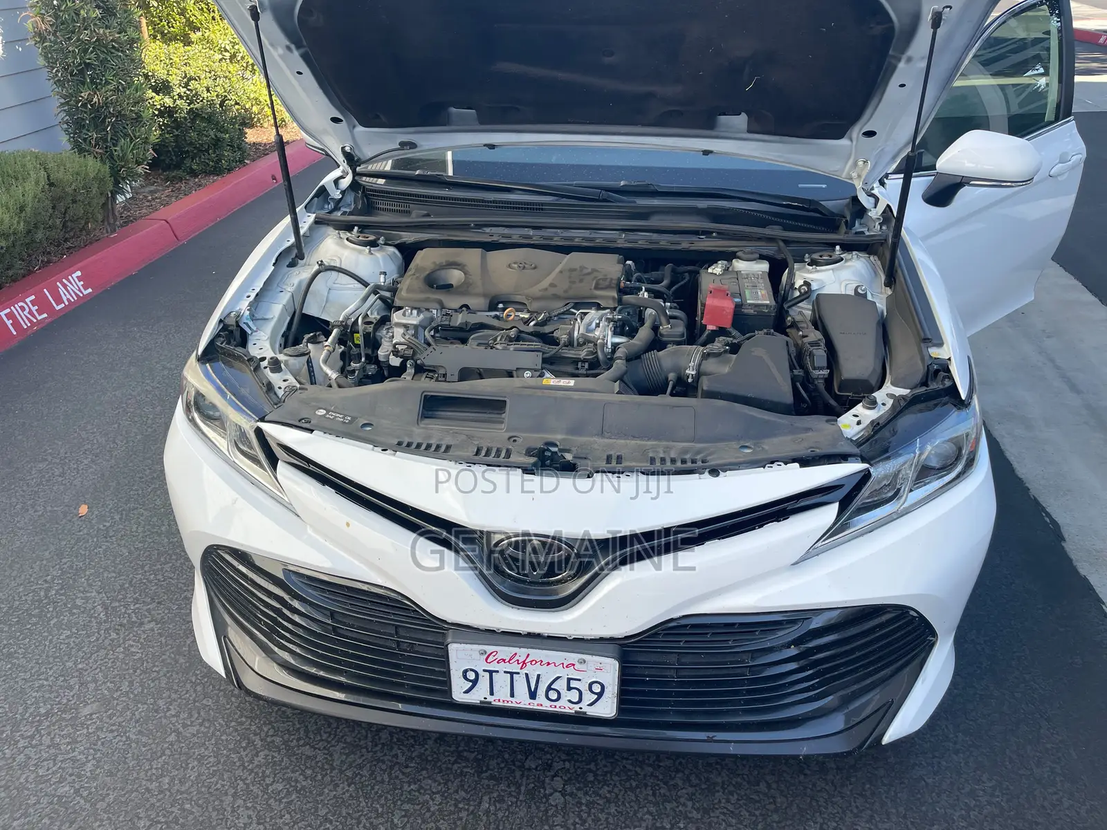 Toyota Corolla LE 2020 White