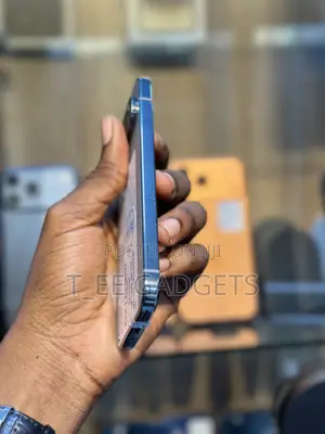 Google Pixel 9 Pro 256 GB