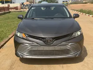 Toyota Camry LE (2.5L 4cyl 8A) 2019 Gray