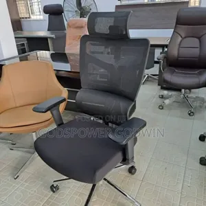 Mesh Chair (Recline)