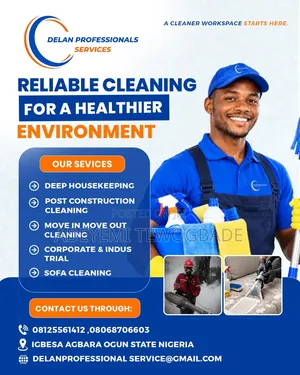 Professional Cleaning Service
