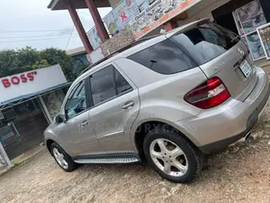 Mercedes-Benz M Class 2010 Silver