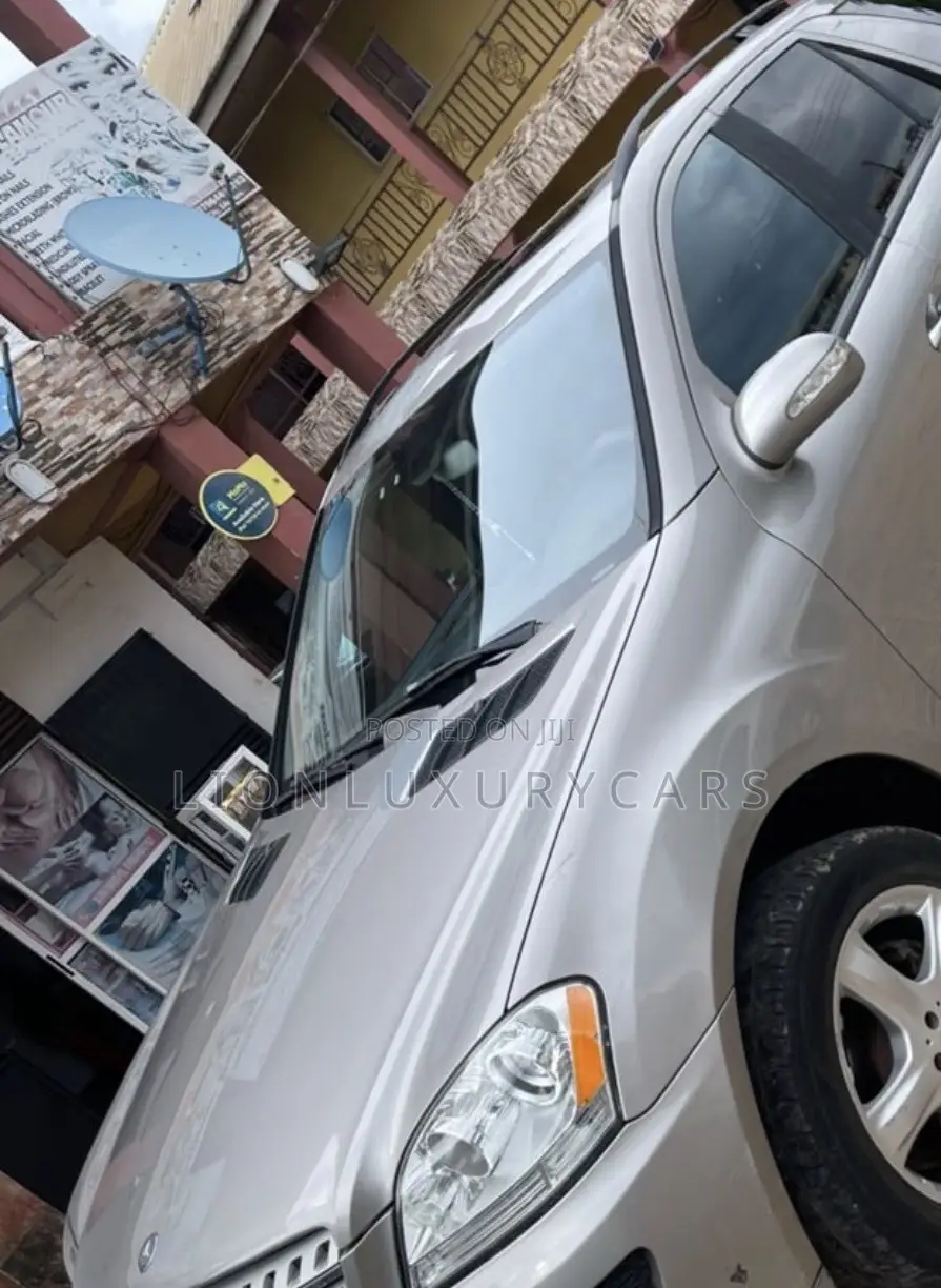 Mercedes-Benz M Class 2010 Silver