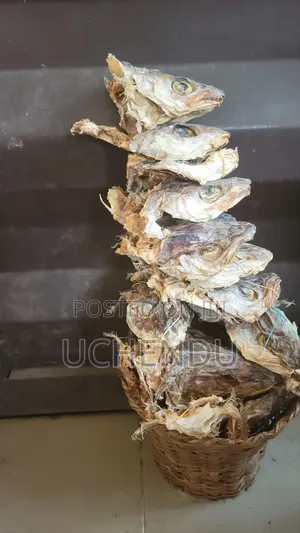 Quality Stock Fish