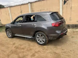 Acura MDX 2010 Gray