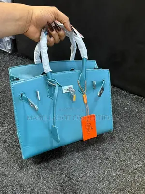 Hermes Ladies Bag