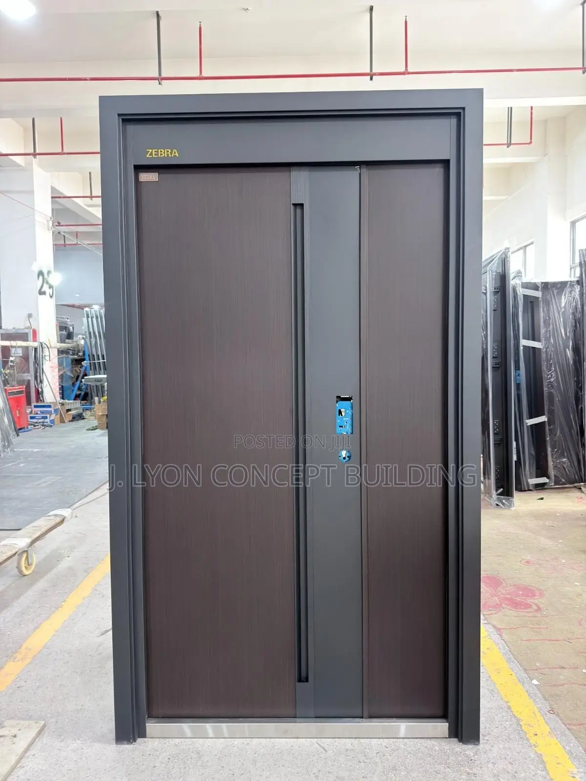 Security Smart Doors