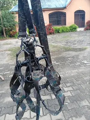 Adult Harness