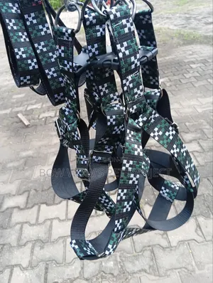 Adult Harness