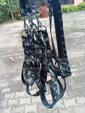 Adult Harness