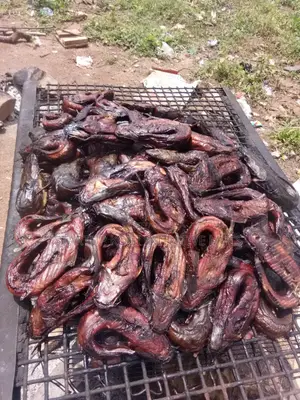 Smoked Organic Catfish