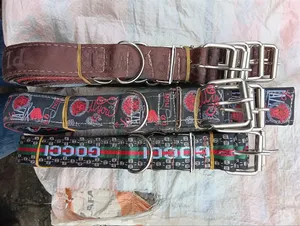 Big or Jumboo Collar