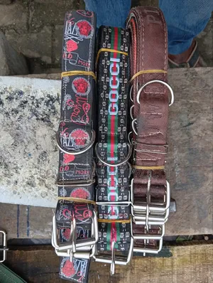 Big or Jumboo Collar