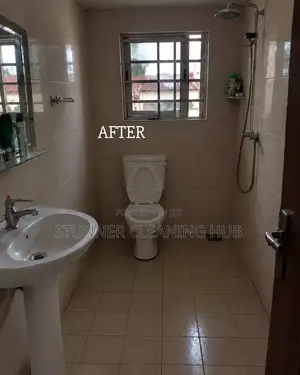 Top - Tier Professional Cleaning Services : Residential in Abuja