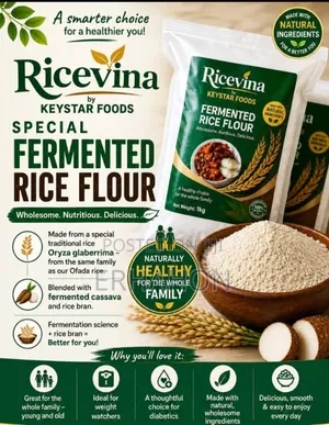 Ricevina Flour