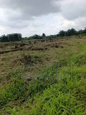 8 Plots of Farmland for Lease at Ashero Siun