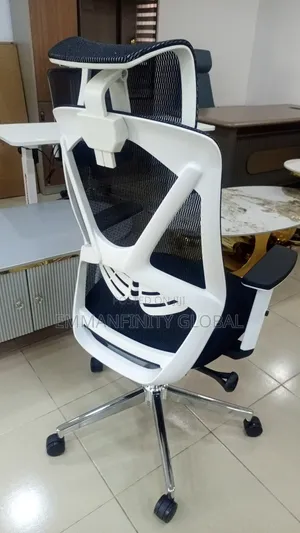 Executive Ergonomic Swivel Chair