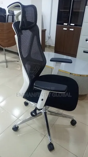 Executive Ergonomic Swivel Chair
